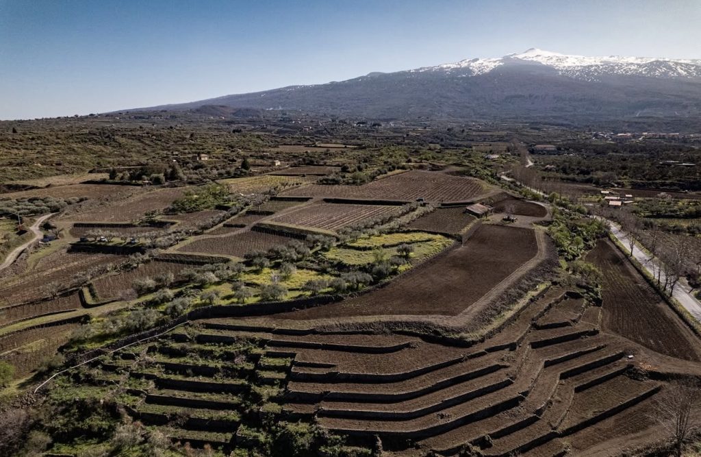 Etna Bianco DOC Contrada Arcurìa 2022 – 99/100 su Le Guide de L’Espresso